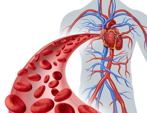 Traitement de l’ischémie en Tunisie : une prise en charge médicale structurée et humaine